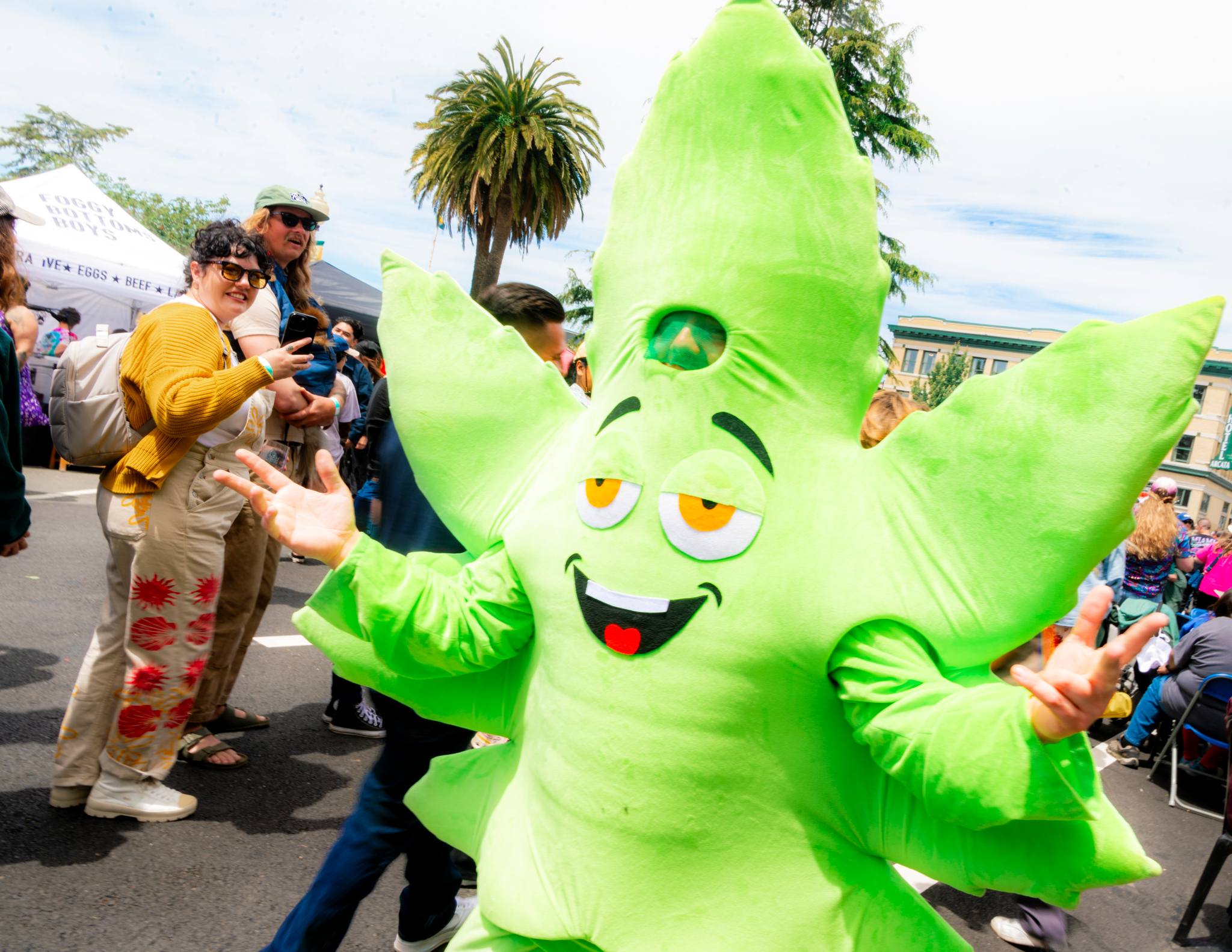 A man is wearing a green suit which is a cannabis leaf and interacting with people on the plaza who are smiling and taking pictures of him. The cannabis leaf character is smiling, with droopy eyes and has his hands up, looking very happy